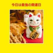 ヒメ日記 2025/03/10 06:33 投稿 このは 熟女の風俗最終章 八王子店