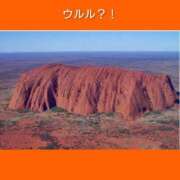 ヒメ日記 2025/03/31 06:33 投稿 このは 熟女の風俗最終章 八王子店