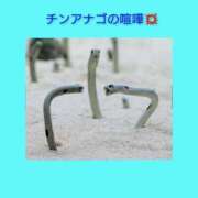 ヒメ日記 2025/06/20 06:23 投稿 このは 熟女の風俗最終章 八王子店