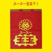 ヒメ日記 2025/06/24 06:23 投稿 このは 熟女の風俗最終章 八王子店