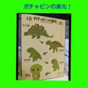 ヒメ日記 2025/08/27 06:23 投稿 このは 熟女の風俗最終章 八王子店