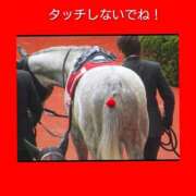 ヒメ日記 2025/10/26 06:43 投稿 このは 熟女の風俗最終章 八王子店