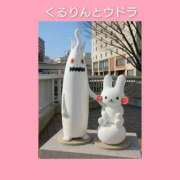 ヒメ日記 2025/11/23 06:13 投稿 このは 熟女の風俗最終章 八王子店