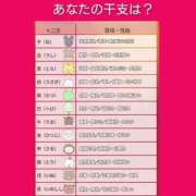 ヒメ日記 2026/02/02 06:23 投稿 このは 熟女の風俗最終章 八王子店