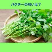 ヒメ日記 2026/03/21 06:33 投稿 このは 熟女の風俗最終章 八王子店