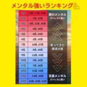 ヒメ日記 2026/05/23 06:13 投稿 このは 熟女の風俗最終章 八王子店
