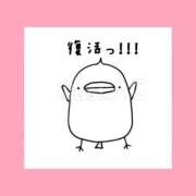 ヒメ日記 2026/07/03 06:33 投稿 このは 熟女の風俗最終章 八王子店