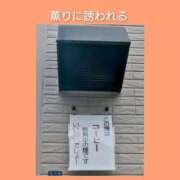 ヒメ日記 2026/07/14 06:23 投稿 このは 熟女の風俗最終章 八王子店