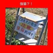 ヒメ日記 2026/08/03 06:03 投稿 このは 熟女の風俗最終章 八王子店