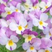 ヒメ日記 2025/02/27 17:03 投稿 れいこ 熟女の風俗最終章 八王子店