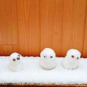 ヒメ日記 2026/02/08 07:50 投稿 矢口 上野CLUB A(クラブ エー)