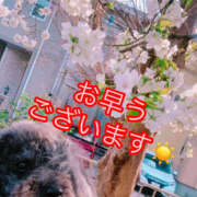 ヒメ日記 2026/03/26 09:50 投稿 矢口 上野CLUB A(クラブ エー)