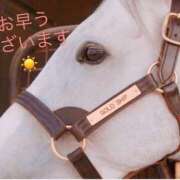 ヒメ日記 2026/03/27 10:20 投稿 矢口 上野CLUB A(クラブ エー)