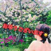 ヒメ日記 2026/03/28 08:40 投稿 矢口 上野CLUB A(クラブ エー)