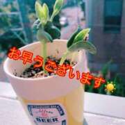 ヒメ日記 2026/03/31 08:50 投稿 矢口 上野CLUB A(クラブ エー)