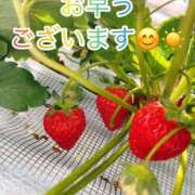 矢口 🍓🍓🍓 上野CLUB A(クラブ エー)