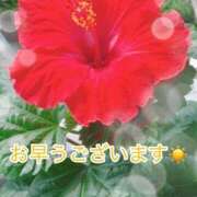 ヒメ日記 2026/05/02 08:10 投稿 矢口 上野CLUB A(クラブ エー)
