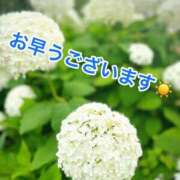 ヒメ日記 2026/06/29 10:10 投稿 矢口 上野CLUB A(クラブ エー)