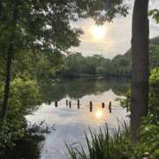 ヒメ日記 2025/06/14 14:00 投稿 紺野 上野CLUB A(クラブ エー)