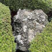 ヒメ日記 2025/07/05 07:00 投稿 紺野 上野CLUB A(クラブ エー)