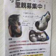 ヒメ日記 2025/09/02 16:00 投稿 紺野 上野CLUB A(クラブ エー)