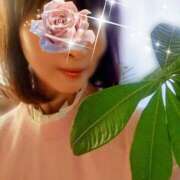 ヒメ日記 2026/01/12 20:50 投稿 葵 上野CLUB A(クラブ エー)