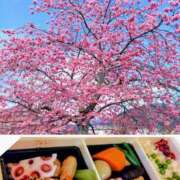 ヒメ日記 2026/04/08 20:20 投稿 葵 上野CLUB A(クラブ エー)