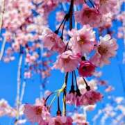 ヒメ日記 2026/04/12 20:10 投稿 葵 上野CLUB A(クラブ エー)