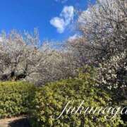 ヒメ日記 2025/03/01 08:21 投稿 福永 上野CLUB A(クラブ エー)