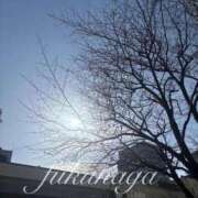 ヒメ日記 2026/01/30 05:00 投稿 福永 上野CLUB A(クラブ エー)