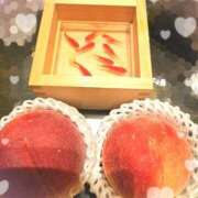 ヒメ日記 2025/08/15 12:23 投稿 つむぎ 熟女の風俗最終章 池袋店