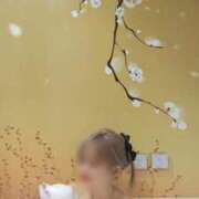 ヒメ日記 2026/06/12 01:32 投稿 つむぎ 熟女の風俗最終章 池袋店