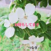 ヒメ日記 2026/06/18 20:42 投稿 つむぎ 熟女の風俗最終章 池袋店