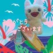 ヒメ日記 2026/07/04 00:42 投稿 つむぎ 熟女の風俗最終章 池袋店