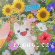 ヒメ日記 2026/07/28 14:15 投稿 つむぎ 熟女の風俗最終章 池袋店