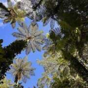 ヒメ日記 2025/10/01 16:04 投稿 美礼 梅田ゴールデン倶楽部