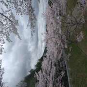 三浦樹里 ありがとうございました 五十路マダム エクスプレス京都店