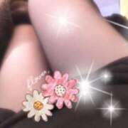 ヒメ日記 2025/01/31 20:55 投稿 なな 熟女の風俗最終章 八王子店