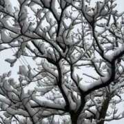 ヒメ日記 2026/02/10 22:03 投稿 さちこ 熟女の風俗最終章 八王子店