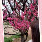 ヒメ日記 2025/03/10 14:14 投稿 小西真珠 五十路マダム エクスプレス京都店