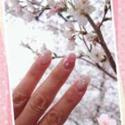 ヒメ日記 2025/04/07 13:46 投稿 小西真珠 五十路マダム エクスプレス京都店