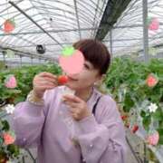 ヒメ日記 2025/04/22 15:32 投稿 小西真珠 五十路マダム エクスプレス京都店