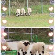 ヒメ日記 2025/05/07 15:14 投稿 小西真珠 五十路マダム エクスプレス京都店