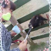 ヒメ日記 2025/05/08 14:34 投稿 小西真珠 五十路マダム エクスプレス京都店