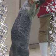 ヒメ日記 2025/10/24 14:50 投稿 小西真珠 五十路マダム エクスプレス京都店