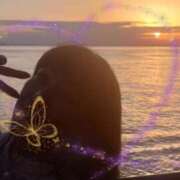 ヒメ日記 2025/12/23 14:36 投稿 小西真珠 五十路マダム エクスプレス京都店