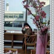 小西真珠 ★小西真珠♪４月のご挨拶(???^???^?)★ 五十路マダム エクスプレス京都店