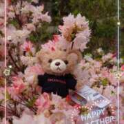 ヒメ日記 2026/04/08 14:28 投稿 小西真珠 五十路マダム エクスプレス京都店