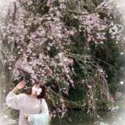 ヒメ日記 2026/04/11 17:52 投稿 小西真珠 五十路マダム エクスプレス京都店