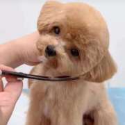 ヒメ日記 2026/02/06 13:19 投稿 まいか 熟女の風俗最終章 八王子店